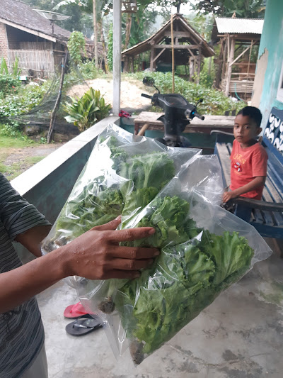 Proses pengemasan yang rapi